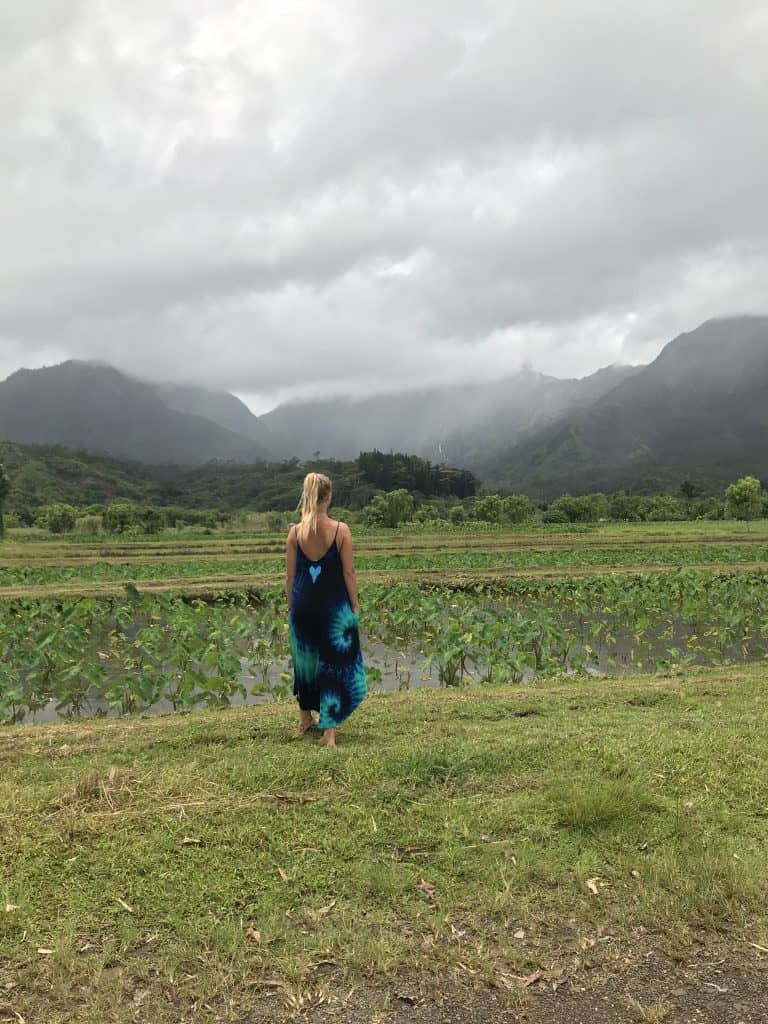 Hanalei Kauai by Truefoodsblog